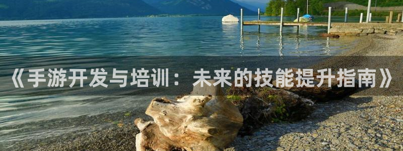 28大神下载苹果版：《手游开发与培训：未来的技能提升指南》