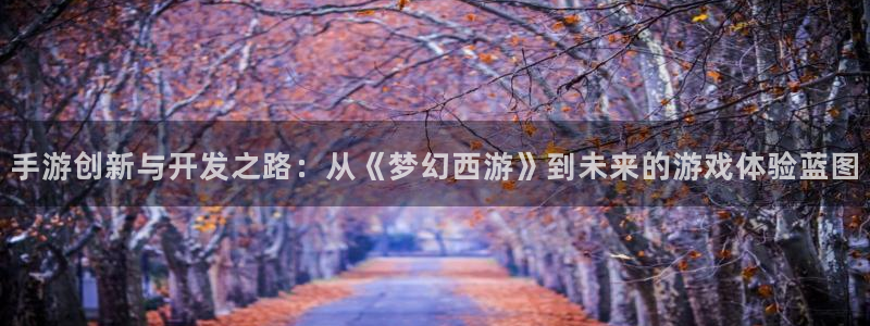 大神28加拿大在线上分：手游创新与开发之路：从《梦幻西游》到