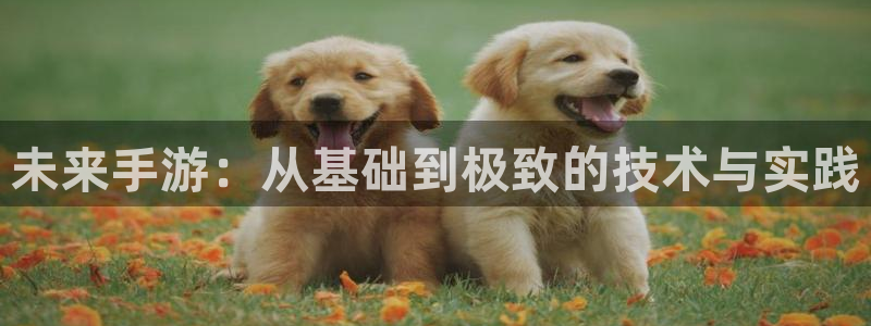 28.28大神：未来手游：从基础到极致的技术与实践