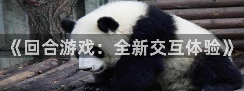 大神2966528：《回合游戏：全新交互体验》