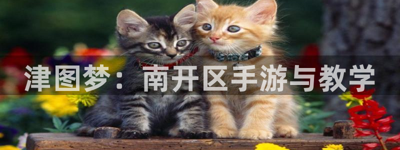 大神28杀：津图梦：南开区手游与教学
