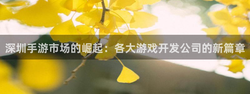 28大神眯牌：深圳手游市场的崛起：各大游戏开发公司的新篇章