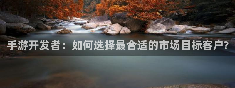 28大神app下载页面：手游开发者：如何选择最合适的市场目标