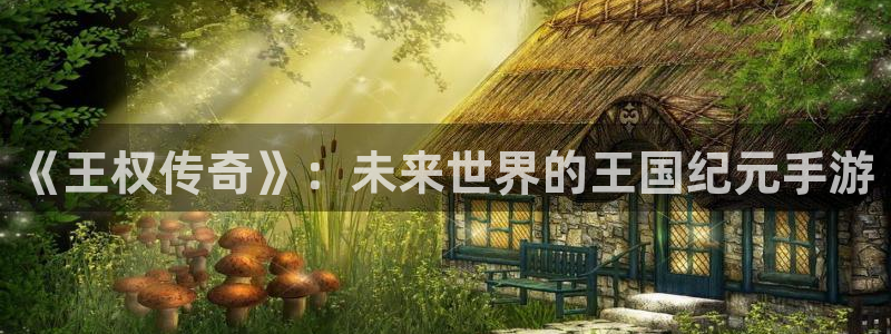 大神28加拿大开奖：《王权传奇》：未来世界的王国纪元手游