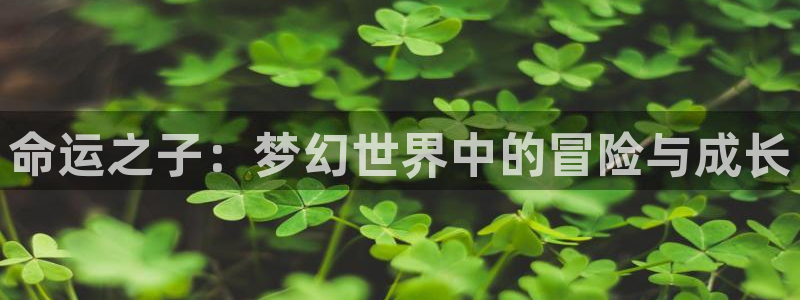 大神28加拿大在线上分：命运之子：梦幻世界中的冒险与成长