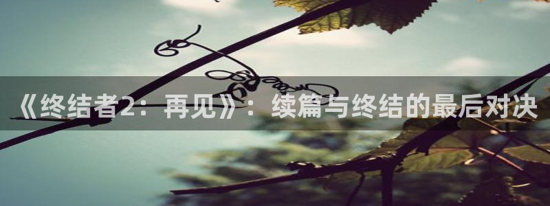 大神28统计网：《终结者2：再见》：续篇与终结的最后对决