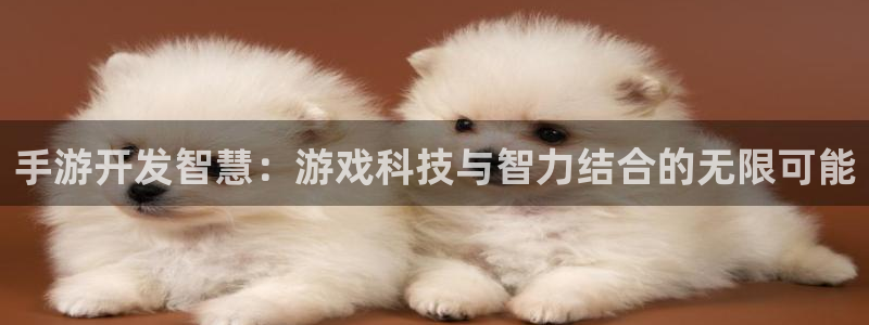28大神预测网：手游开发智慧：游戏科技与智力结合的无限可能