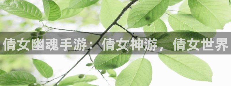 大神28开奖官网下载：倩女幽魂手游：倩女神游，倩女世界