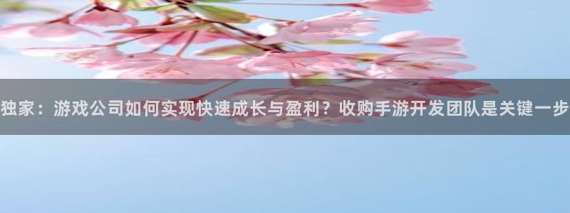 28大神官方下载ios：独家：游戏公司如何实现快速成长与盈利