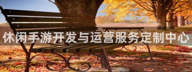 加拿大大神28预测网：休闲手游开发与运营服务定制中心