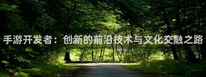 28pc大神：手游开发者：创新的前沿技术与文化交融之路