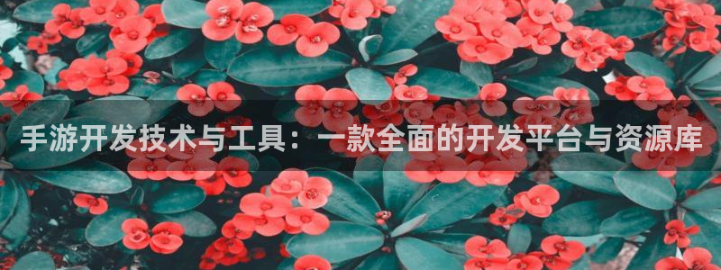 28大神专业版官网：手游开发技术与工具：一款全面的开发平台与