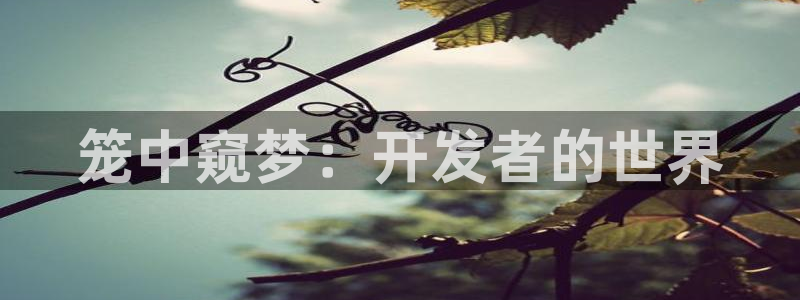 大神28app苹果版：笼中窥梦：开发者的世界