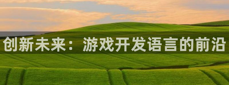 大神28统计网：创新未来：游戏开发语言的前沿