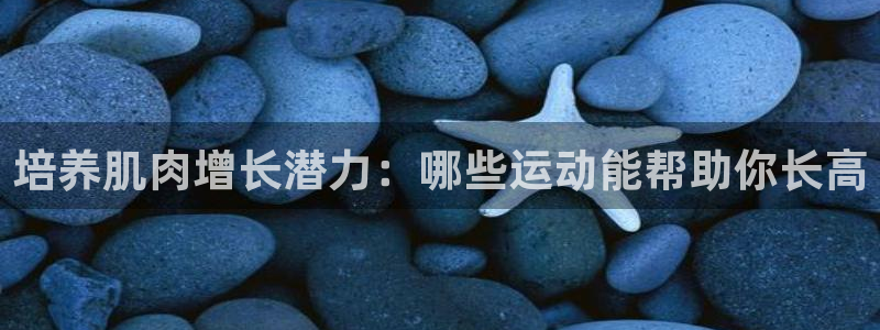 678体育官网