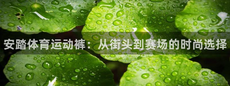 678体育官网