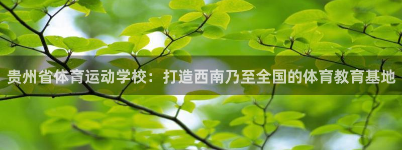 皇冠678体育