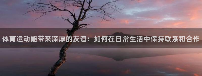678体育：体育运动能带来深厚的友谊：如何在日常生活中保持联系和合作