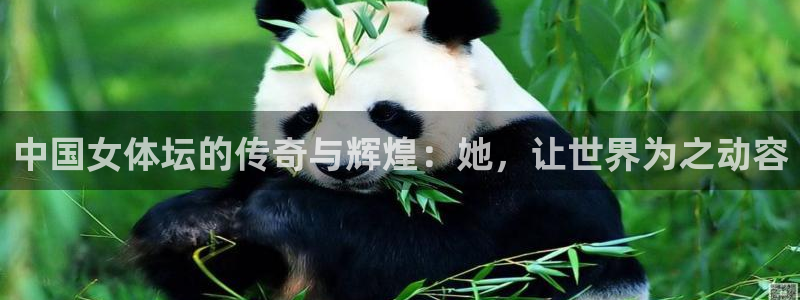 678体育知识：中国女体坛的传奇与辉煌：她，让世界为之动容