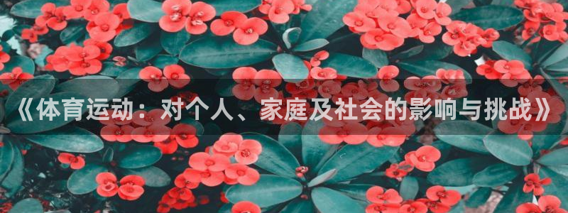 678体育app