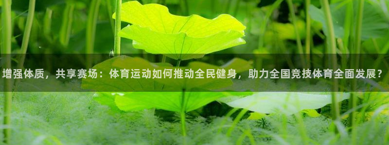 678体育：增强体质，共享赛场：体育运动如何推动全民健身，助力全国竞技体育全面发展？