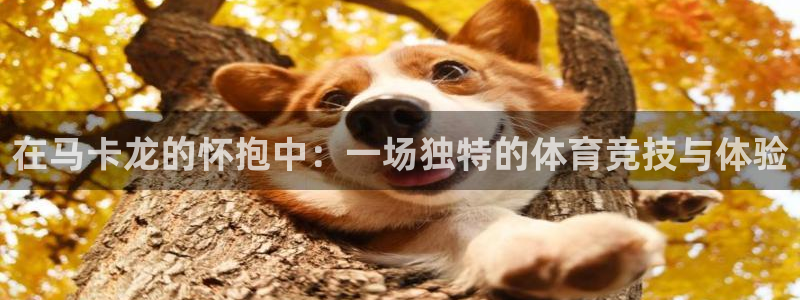678体育官网