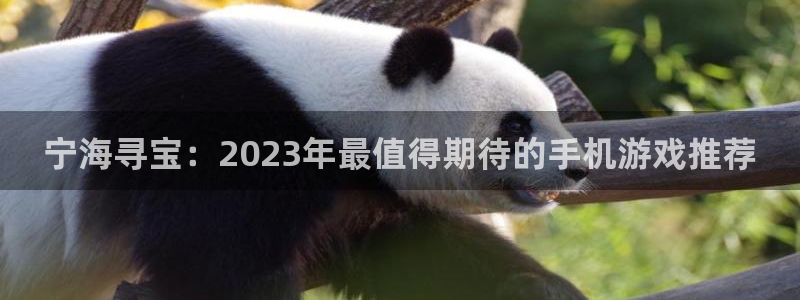 28大神2020：宁海寻宝：2023年最值得期待的手机游戏推