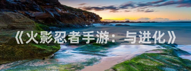 大神2966528：《火影忍者手游：与进化》