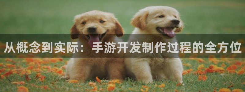 28大神开奖软件：从概念到实际：手游开发制作过程的全方位