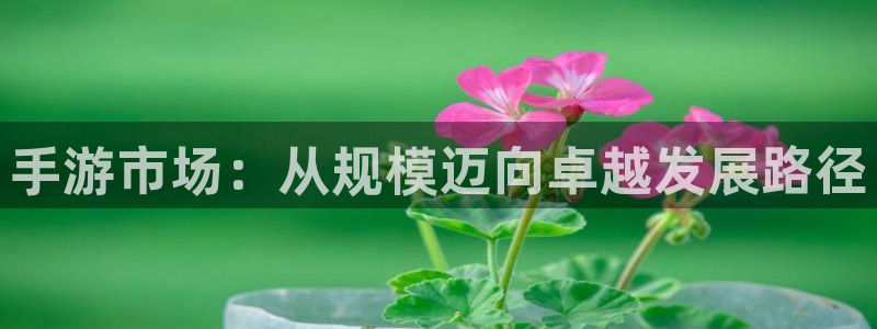 28大神app下载页面：手游市场：从规模迈向卓越发展路径