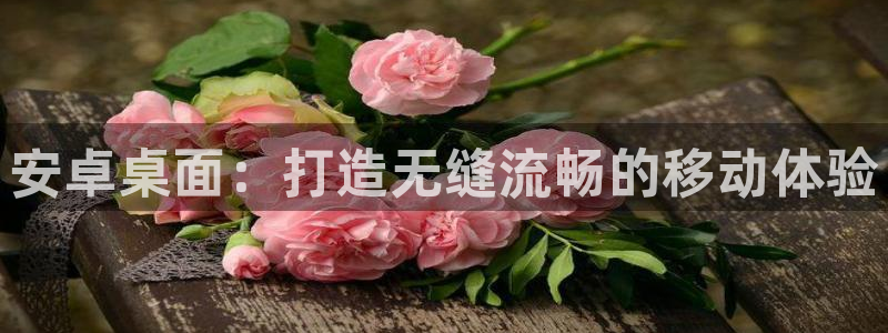 28大神app下载苹果：安卓桌面：打造无缝流畅的移动体验