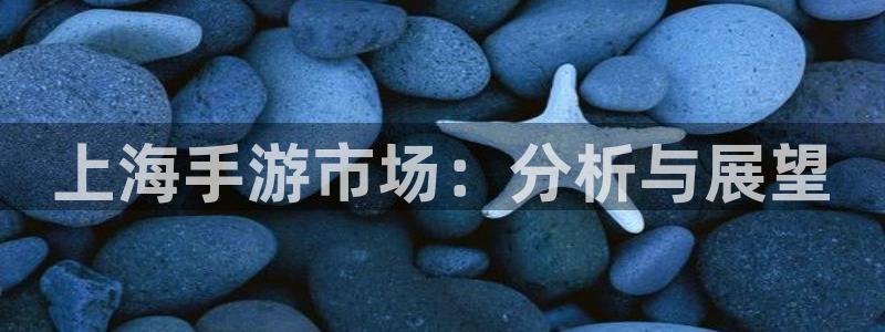大神28手机版下载：上海手游市场：分析与展望