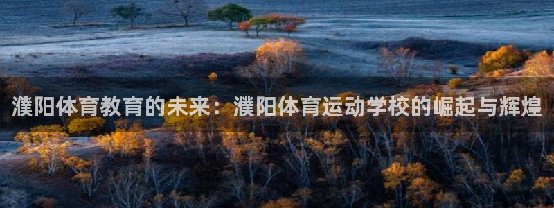 678体育app