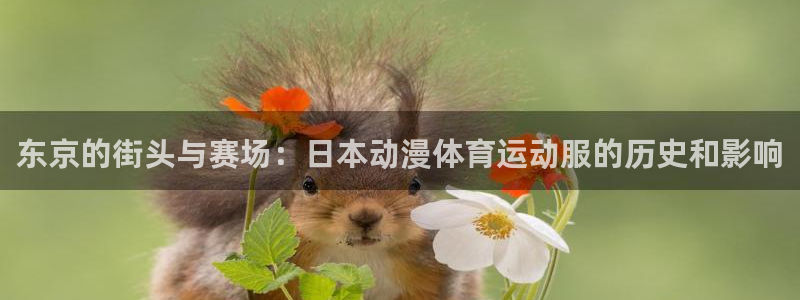 678体育：东京的街头与赛场：日本动漫体育运动服的历史和影响